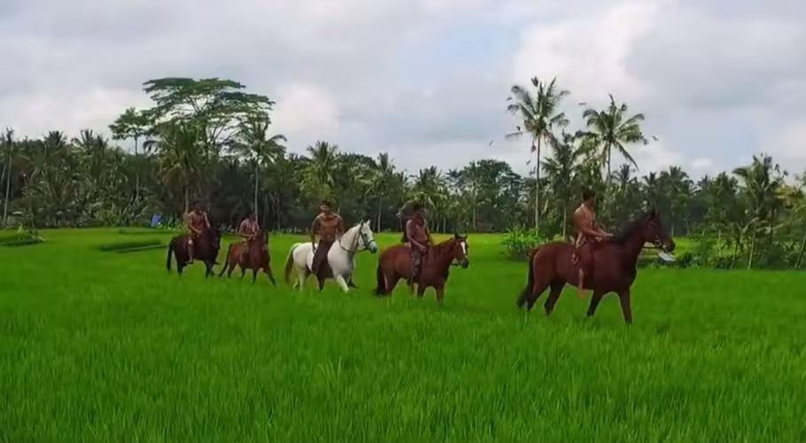 Ubud Horse Stables Ubud Horse Stables